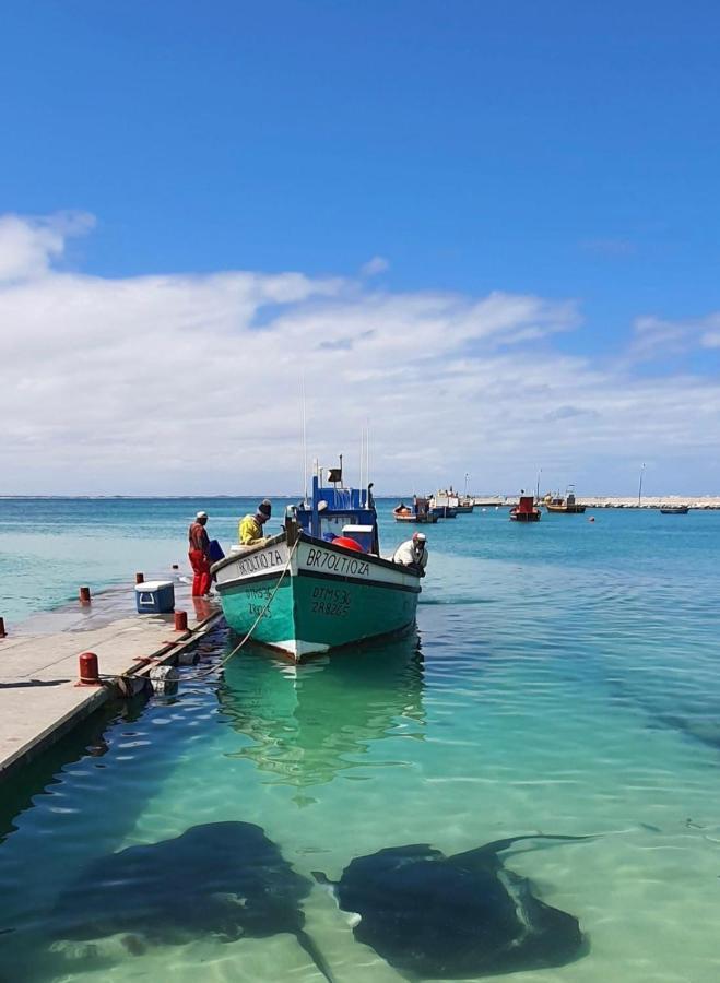 Cliff Haven Hotel Struisbaai Eksteriør billede